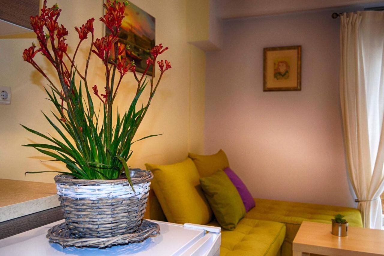 Central Guest Room オリンピア エクステリア 写真